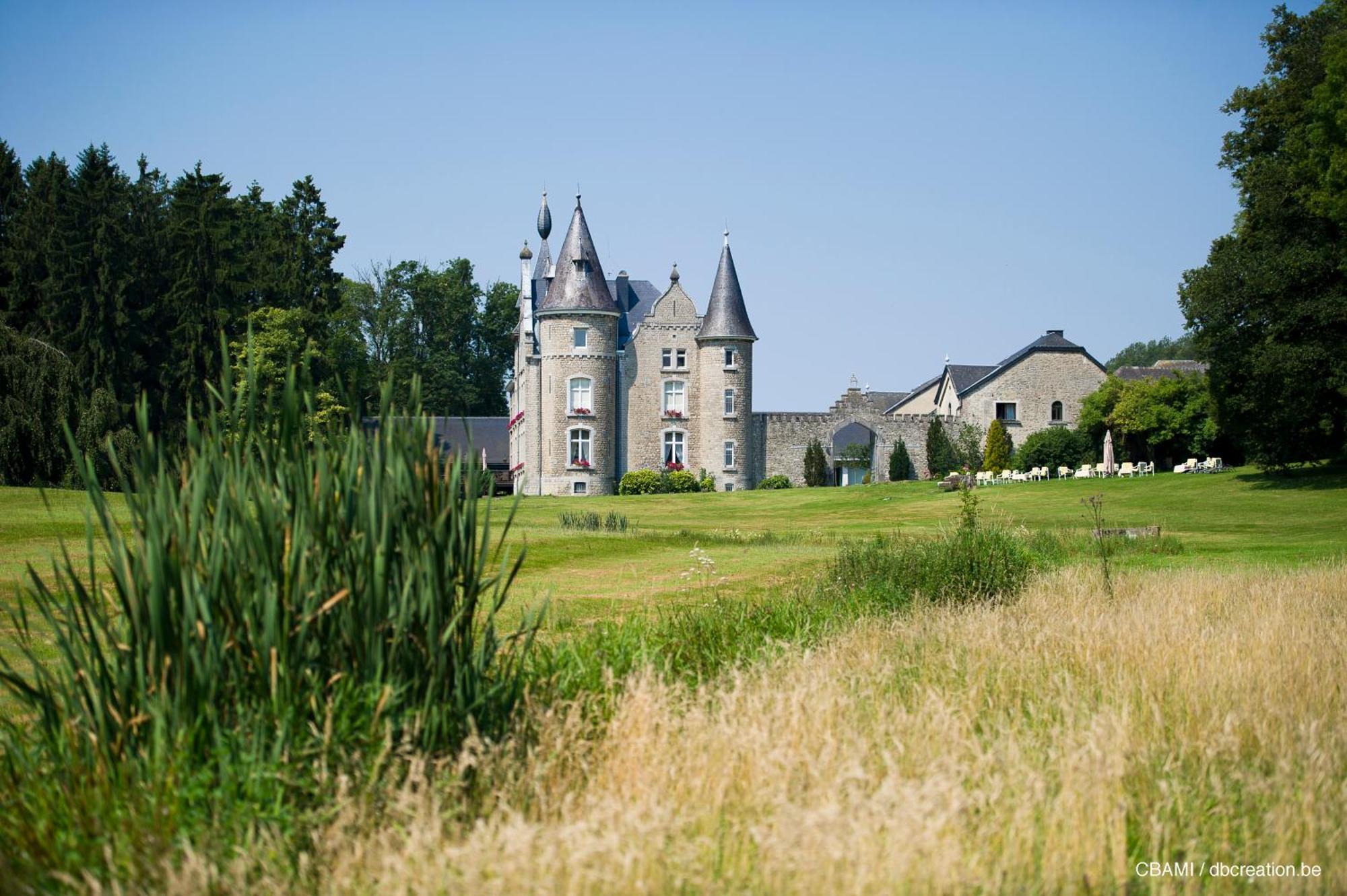 Chateau D'Hassonville Aye Exteriér fotografie