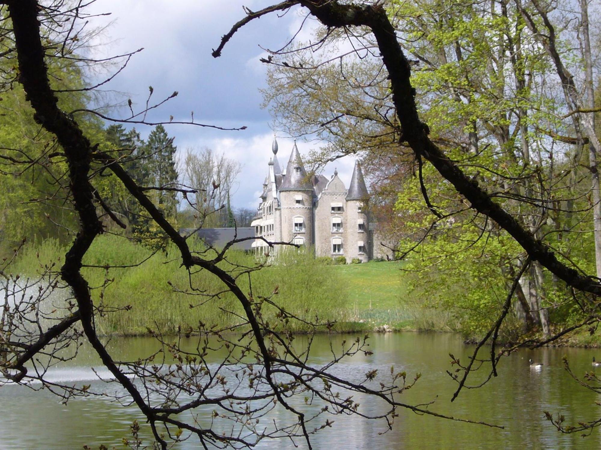 Chateau D'Hassonville Aye Exteriér fotografie