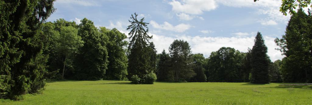 Chateau D'Hassonville Aye Exteriér fotografie